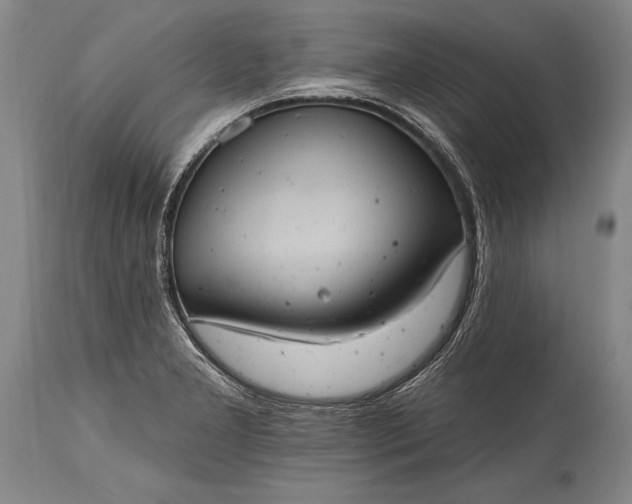X0000115411277200911171350
