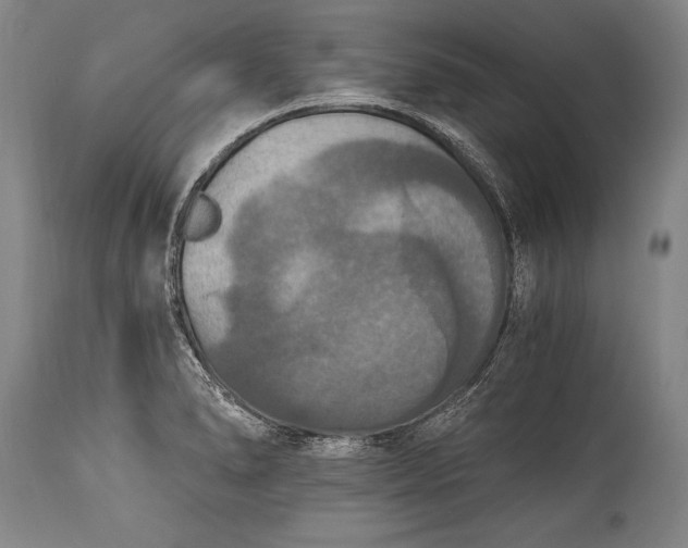 X0000115411278200911171350