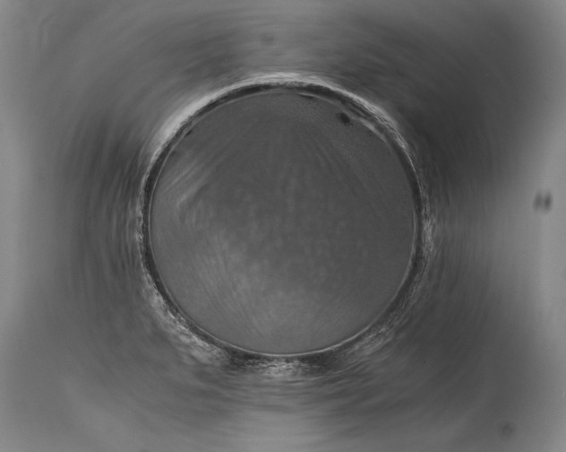 X0000115411279200911171350