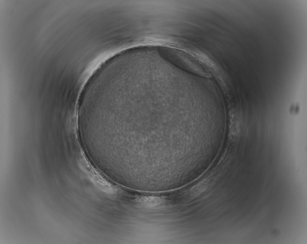 X0000115411280200911171350