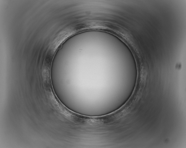 X0000115411281200911171350
