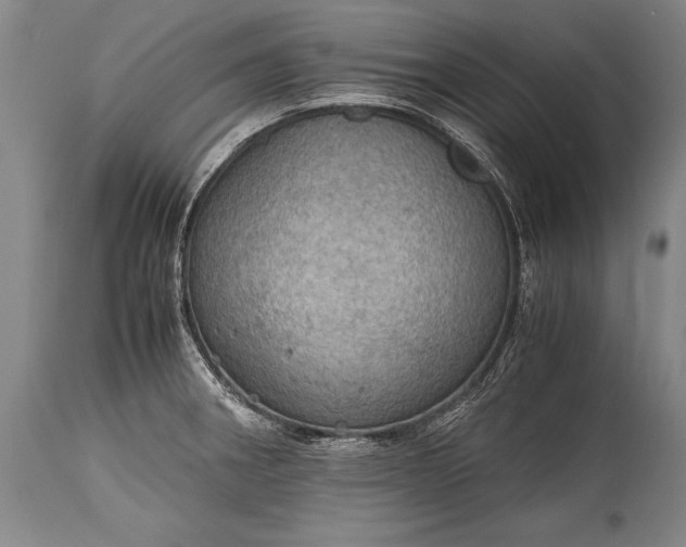 X0000115411282200911171350