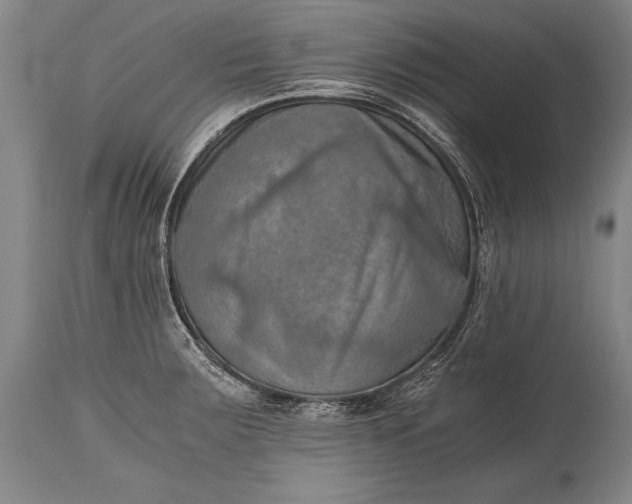 X0000115411283200911171350