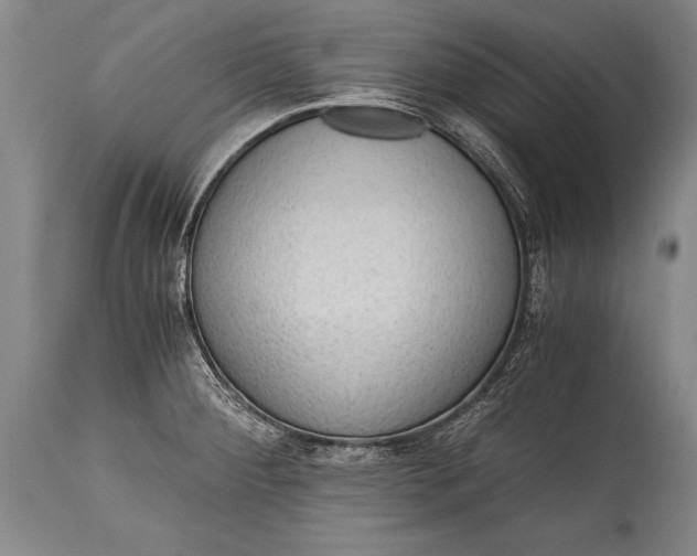 X0000115411284200911171350