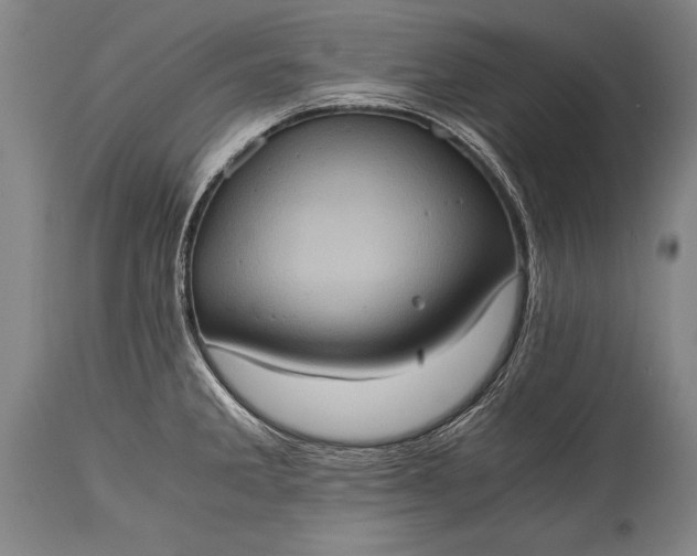 X0000115411285200911171350