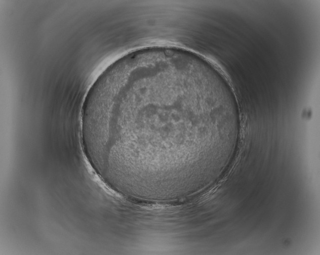 X0000115411287200911171350