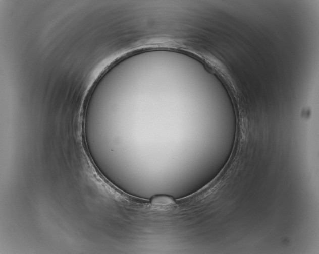X0000115411288200911171350