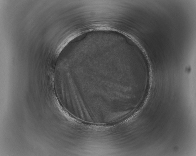 X0000115411289200911171350