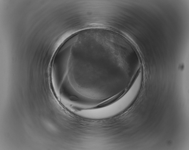 X0000115411291200911171350