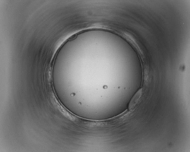 X0000115411292200911171350