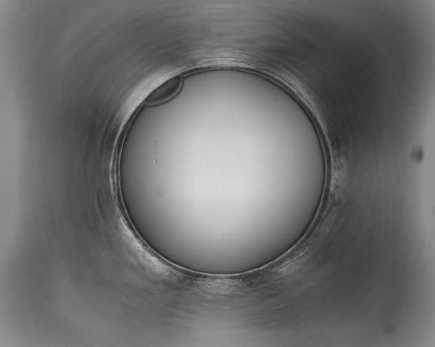 X0000115411293200911171350