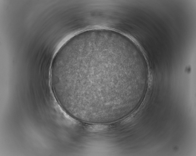 X0000115411294200911171350