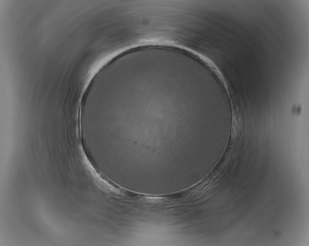 X0000115411295200911171350