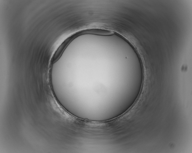 X0000115411296200911171350