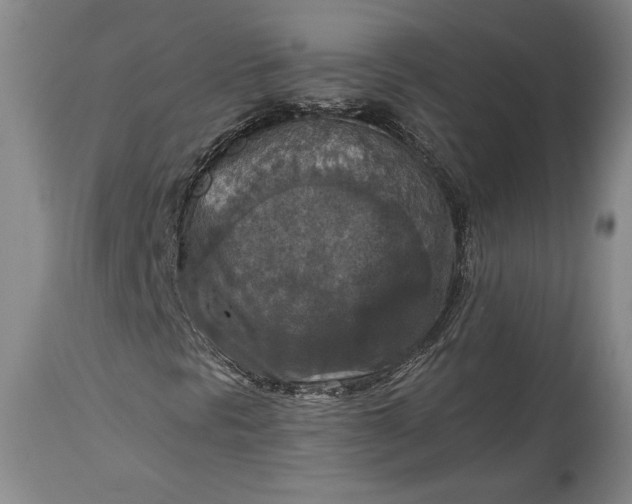 X0000115411297200911171349