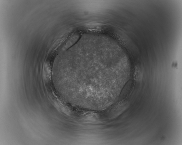 X0000115411298200911171349