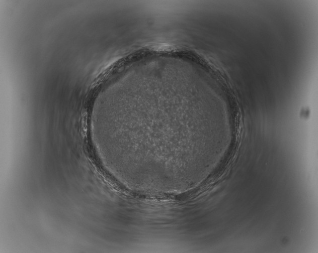 X0000115411301200911171349