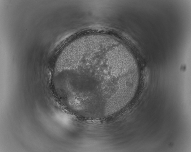 X0000115411302200911171349