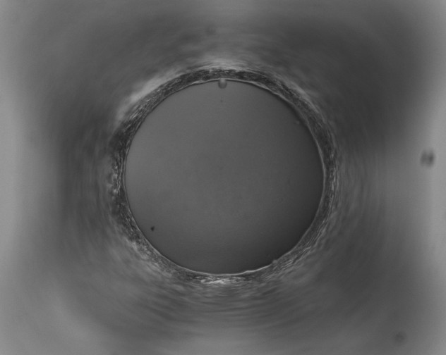 X0000115411303200911171349