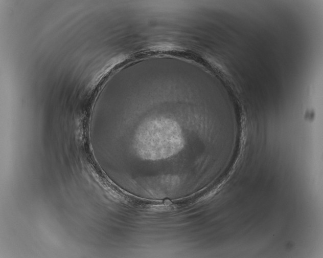 X0000115411305200911171349