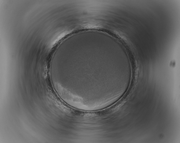 X0000115411306200911171349