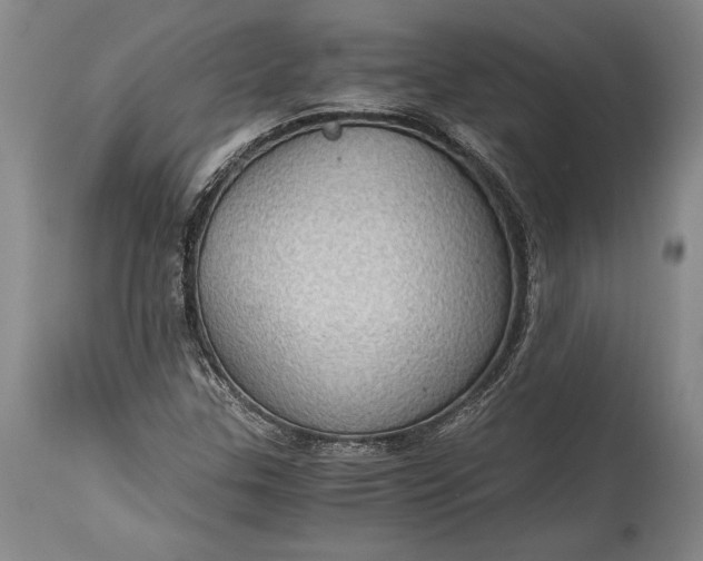 X0000115411307200911171349