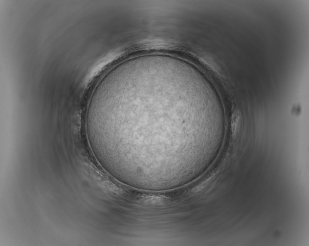 X0000115411309200911171349