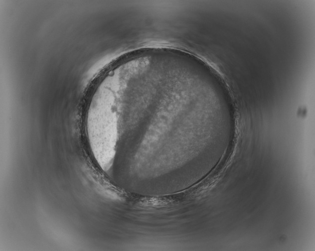 X0000115411311200911171349