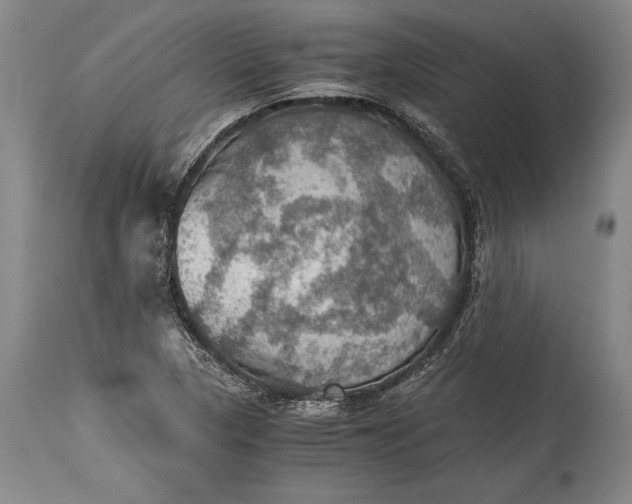 X0000115411313200911171349