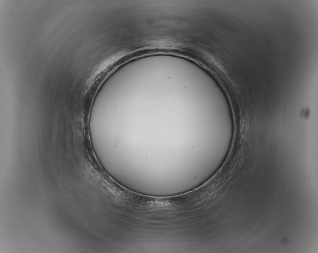 X0000115411315200911171349