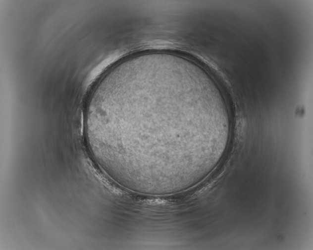 X0000115411317200911171349