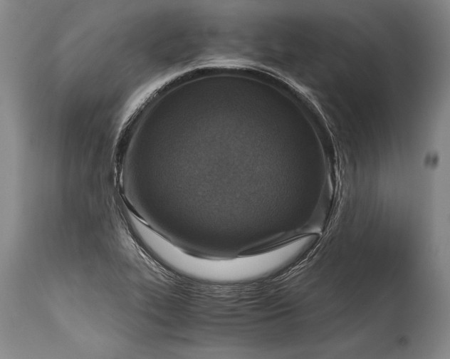 X0000115411319200911171350