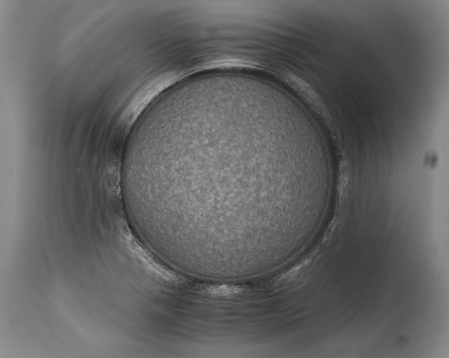 X0000115411321200911171350