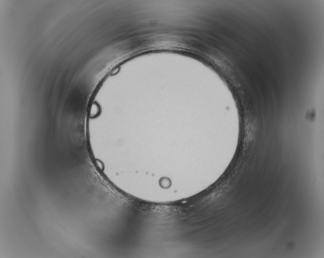 X0000115411322200911171350