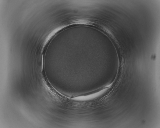 X0000115411323200911171350