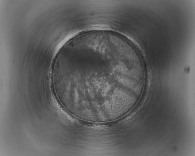 X0000115411325200911171350