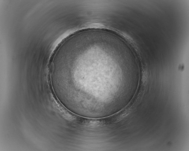 X0000115411326200911171350