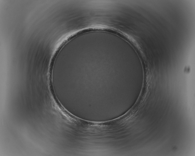 X0000115411327200911171350