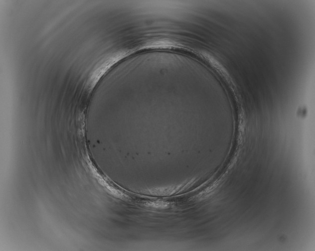 X0000115411329200911171350