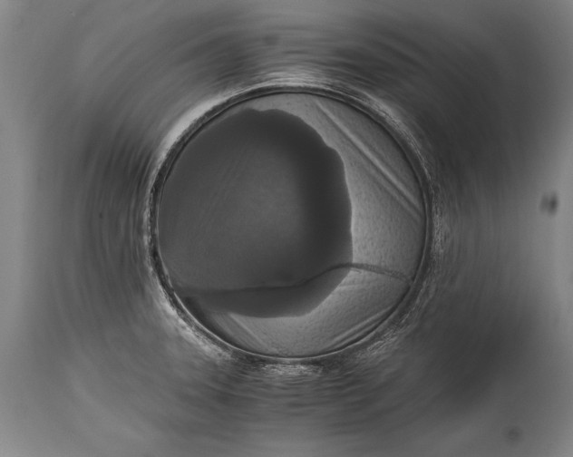 X0000115411331200911171350