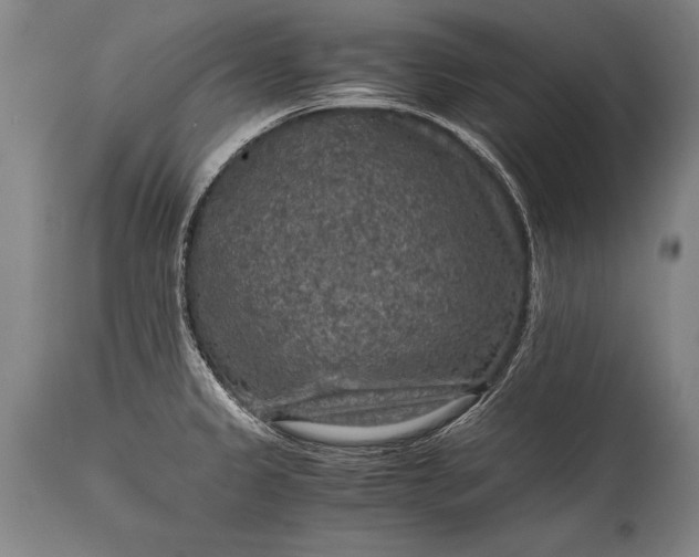 X0000115411333200911171350