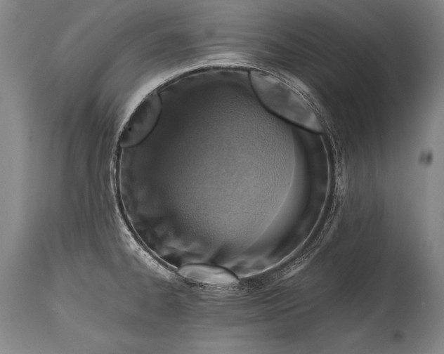 X0000115411334200911171350
