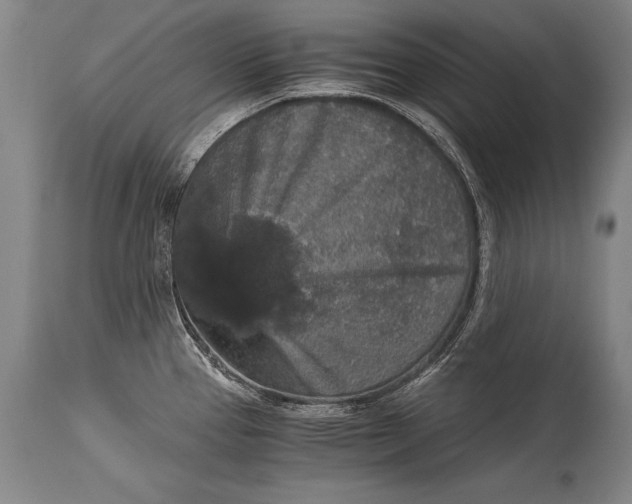 X0000115411337200911171350