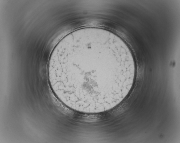 X0000115411338200911171350