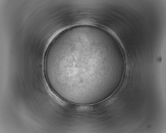 X0000115411339200911171350