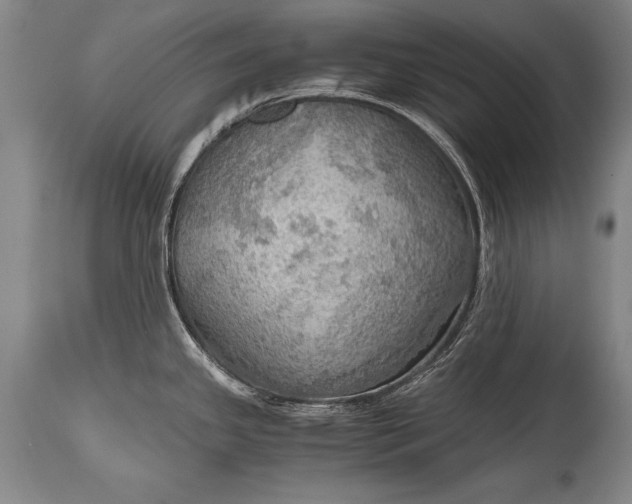 X0000115411341200911171350