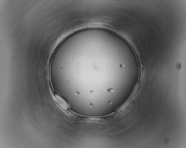 X0000115411342200911171350