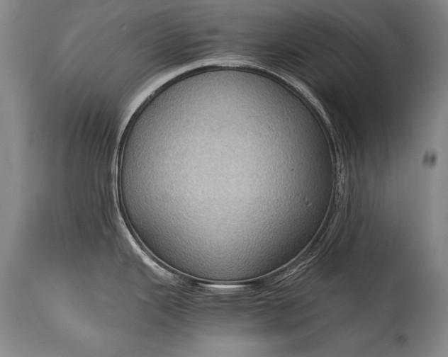 X0000115411343200911171350