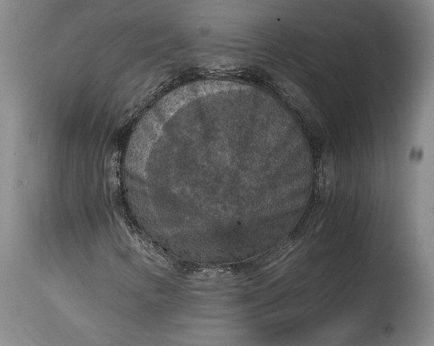X0000115411346200911171349