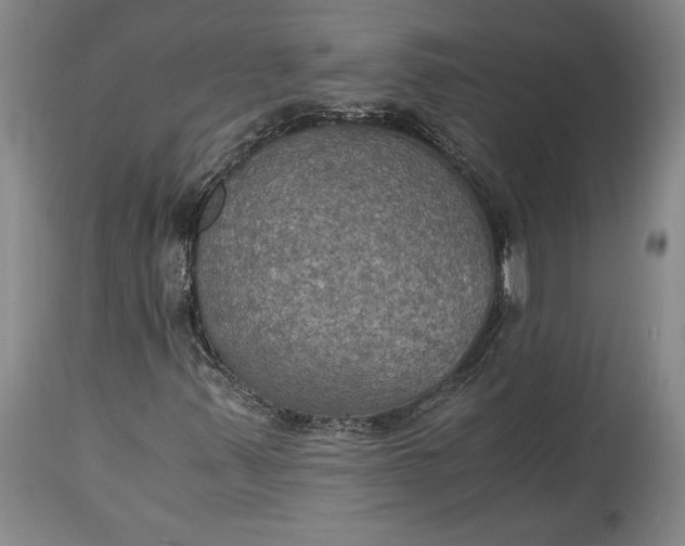 X0000115411347200911171349